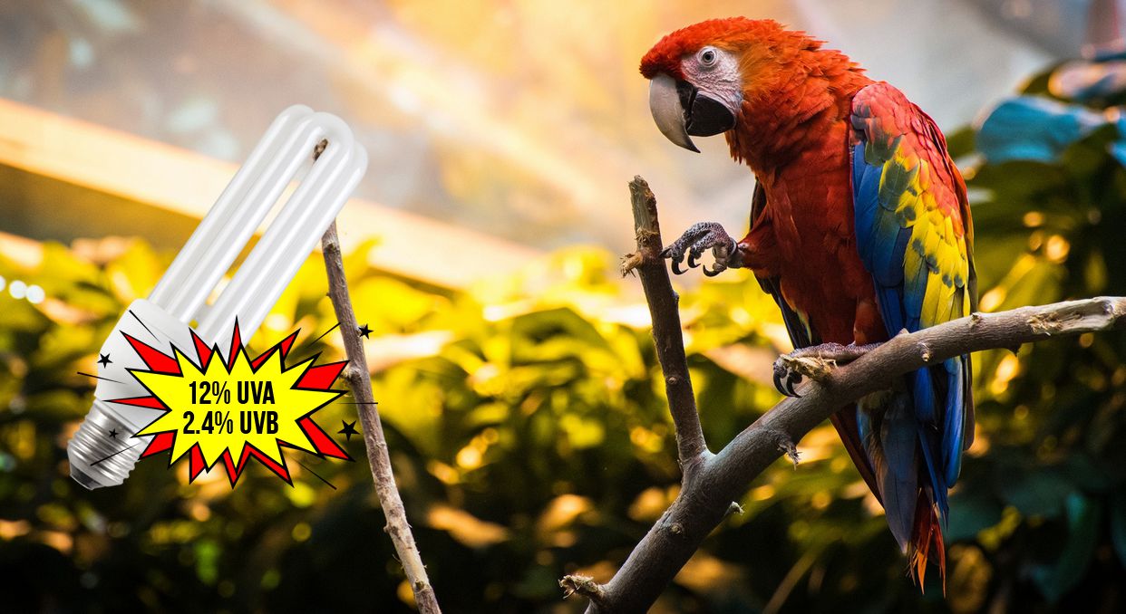 Специальные ультрафиолетовые лампы для птиц и рептилий — Lucky Herp